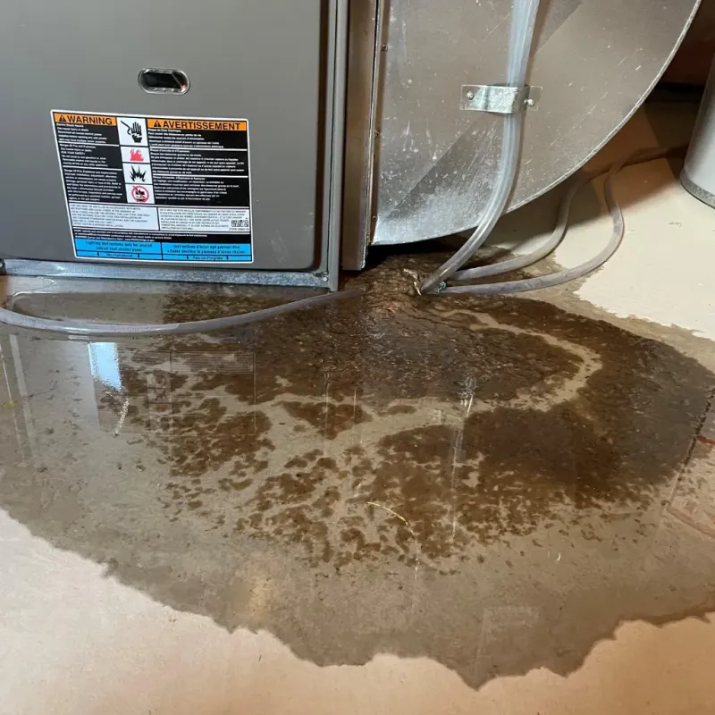 Appliance Leak Cleanup in Clayton, NC